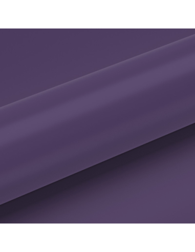 3005.png