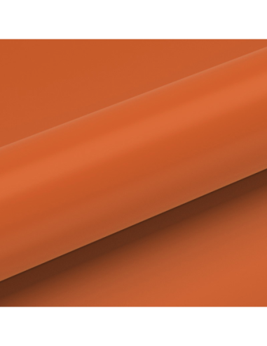 3006.png